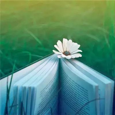 真金娱乐官方网站下载最新版